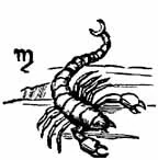 Scorpio sign sketch Scorpio sign sketch