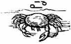 Cancer Zodiac Symbol sketch of a crab, Cancer zodiac symbol